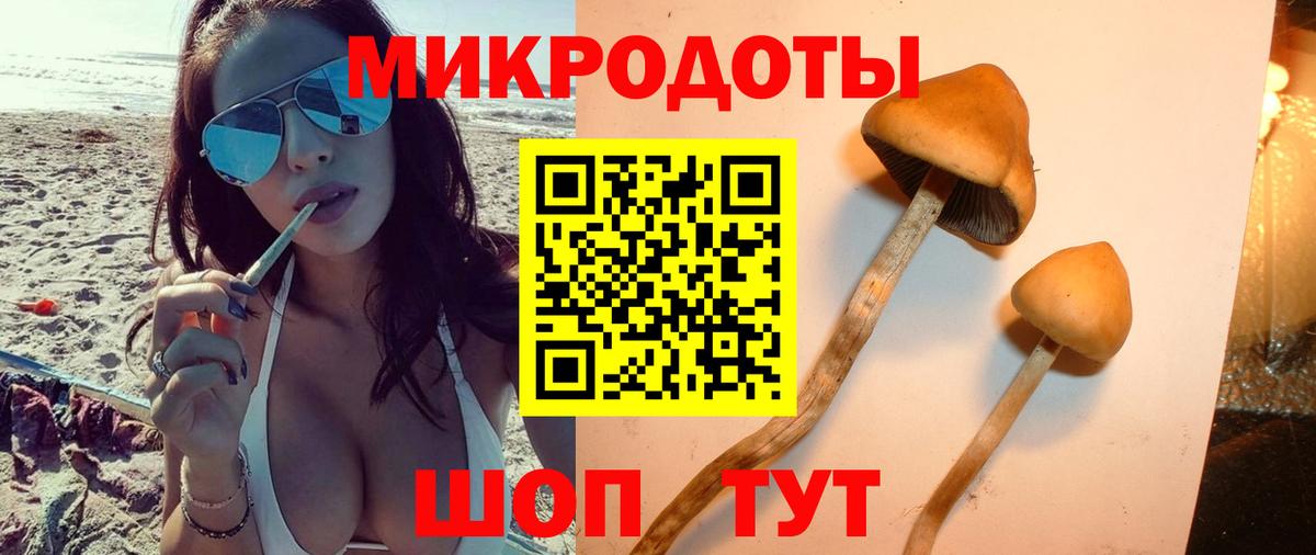 Галлюциногенные грибы Psilocybe  Вход с VPN  Каспийск  Псилоцибиновые грибы Psilocybe 